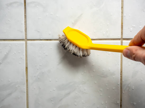 Best Mold Cleaning Services  in Notre Dame, IN