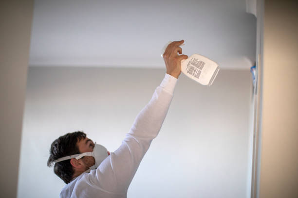 Best Fast Mold Removal  in Notre Dame, IN