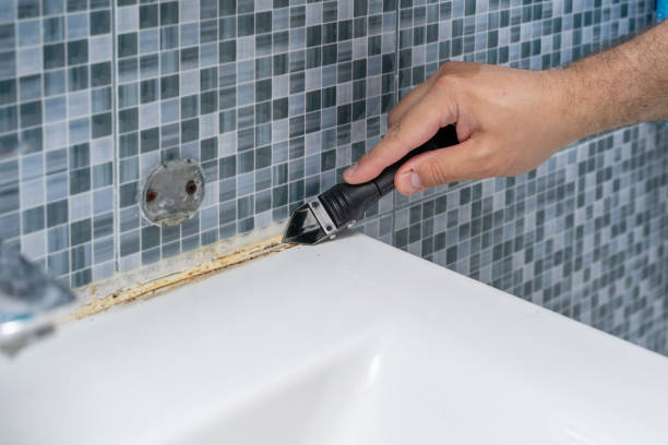 Best Home Mold Removal  in Notre Dame, IN