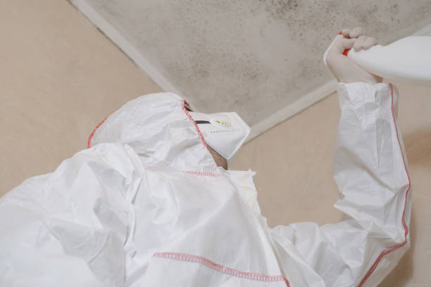 Best Commercial Mold Removal  in Notre Dame, IN