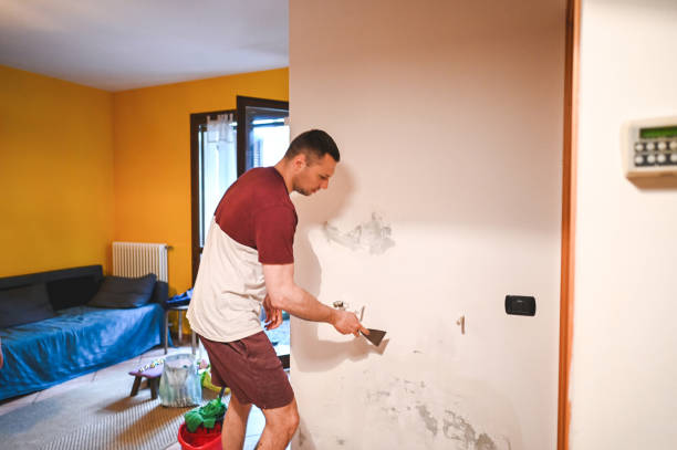 Office Mold Removal Services in Notre Dame, IN